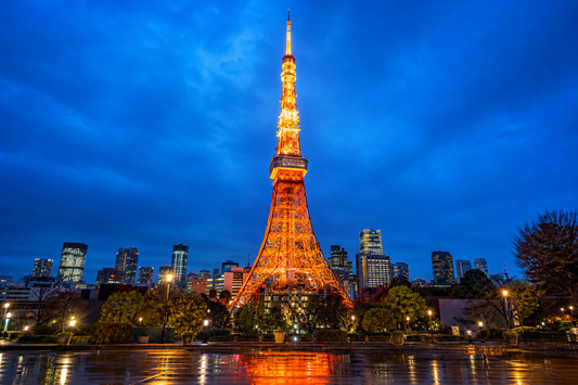 Japan (IIJ) travel eSIM destination